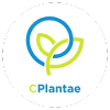 CPlantae